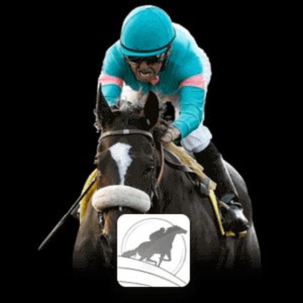 RCB988 Hors